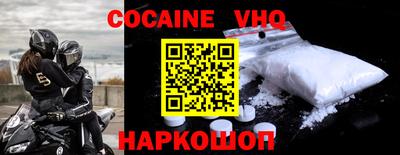сатива Кингисепп
