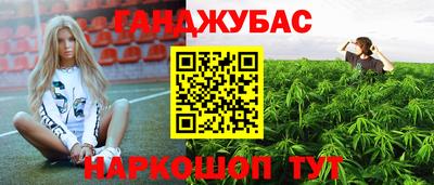 jwh Кинель