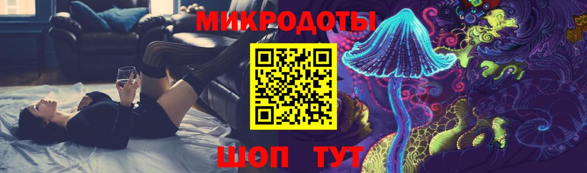 Галлюциногенные грибы Psilocybe Королёв